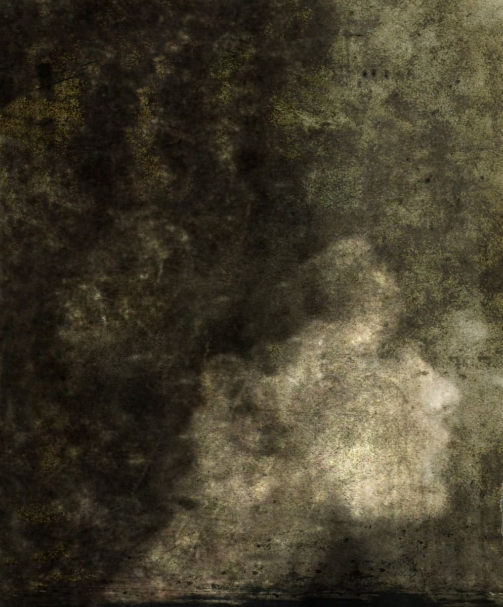 Profil.... by Philippe berthier
