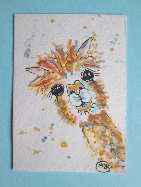 Alpaca