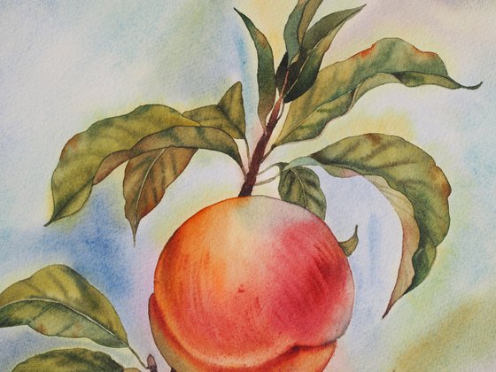 Peach tree - Mediterranean still life