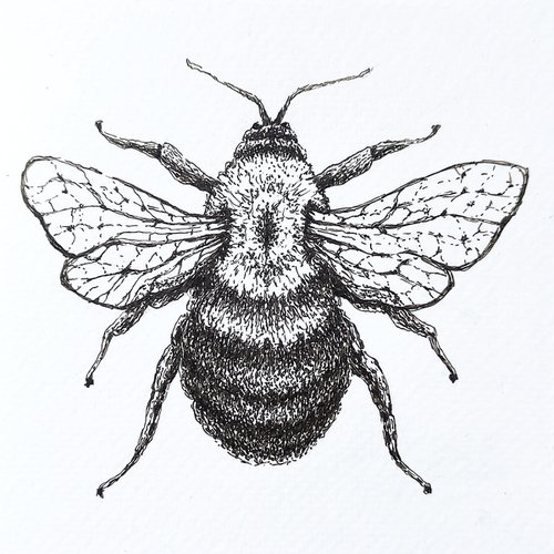 "Honeybee" by Yana Dulger