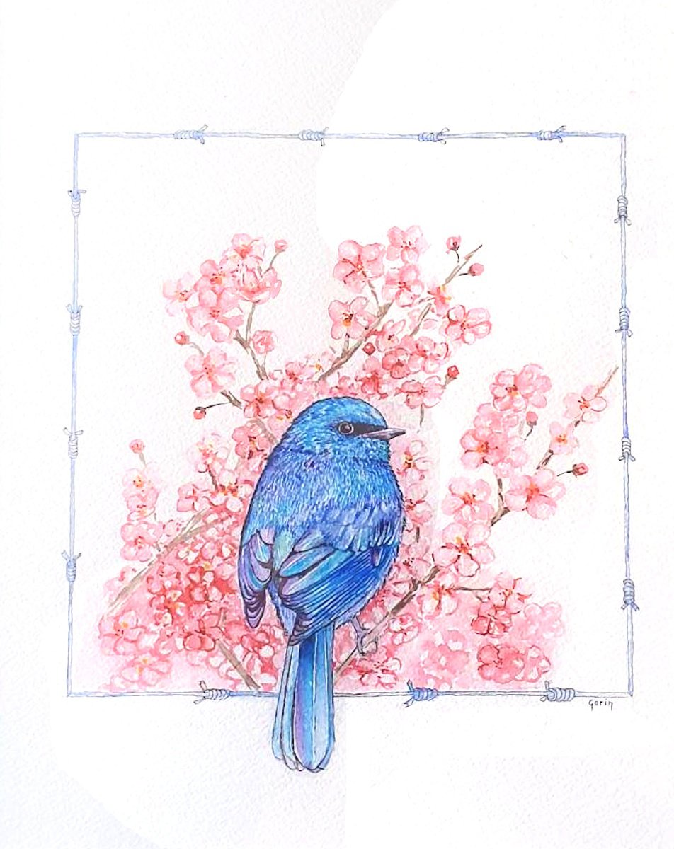 Sakura by Marian Gorin