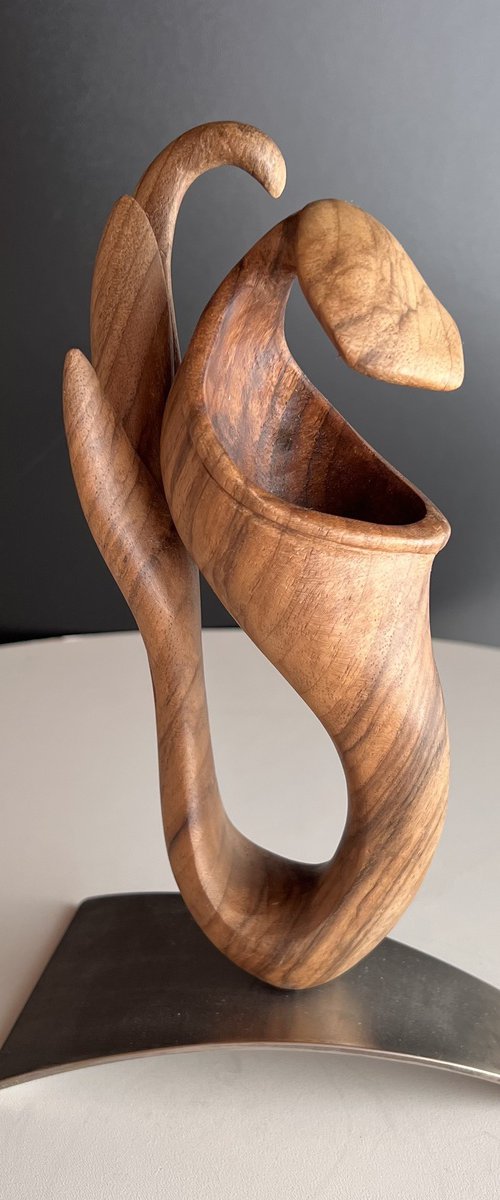 Nepenthes #950 by Roland Köpfer
