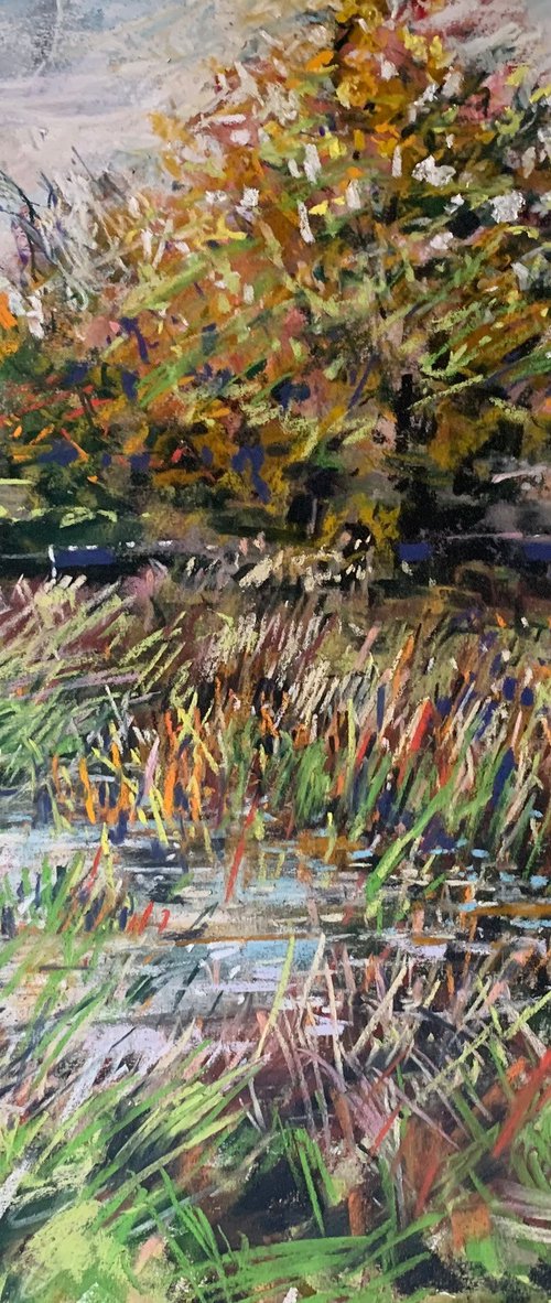 Autumnal Pond by Andrew Moodie