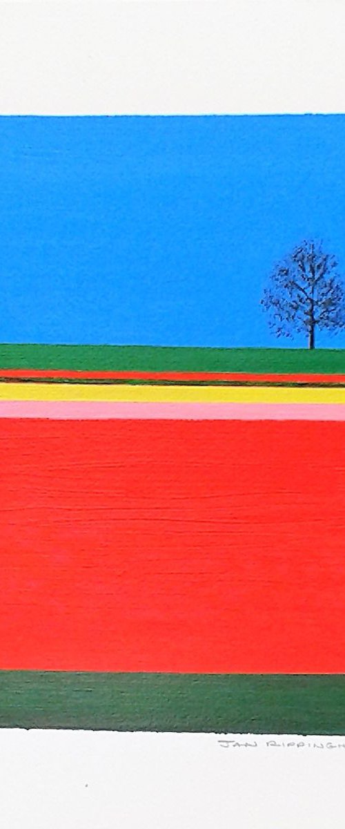 Tulip Fields I by Jan Rippingham