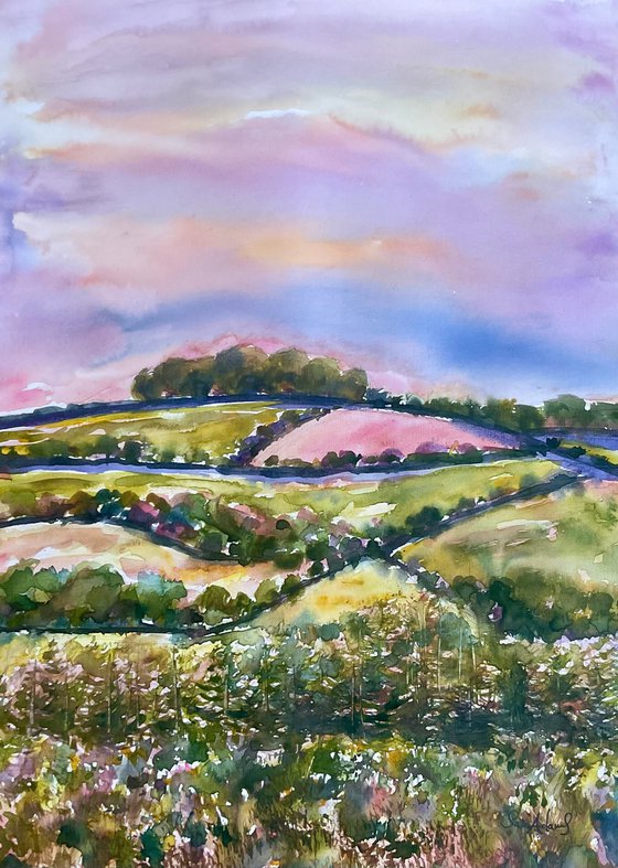 Brendon hills valley, Exmoor, Somerset