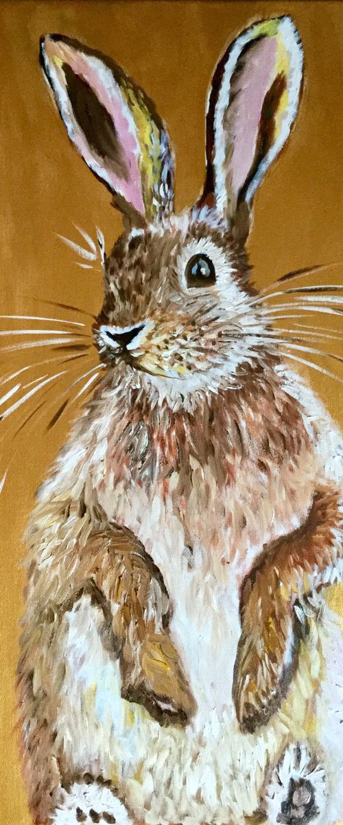 Golden honey bunny by Olga Koval