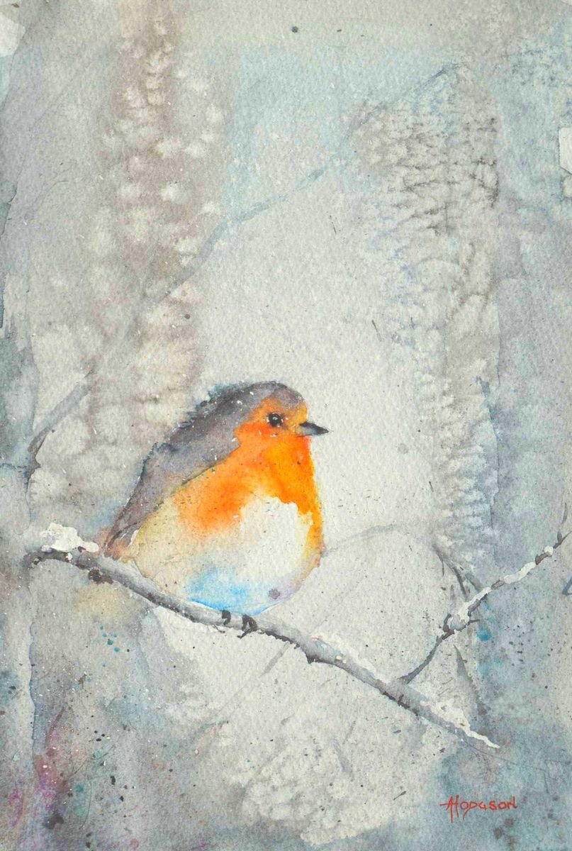 Winter Robin by andrew hodgson