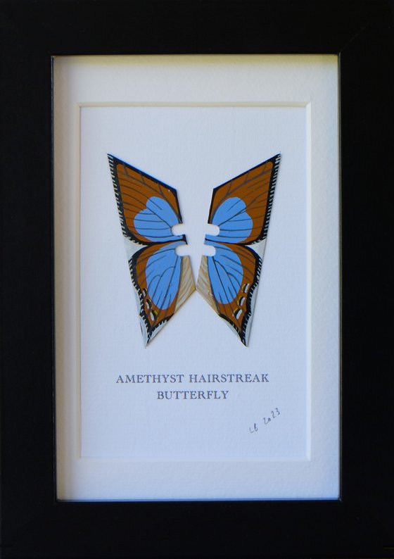 Amethyst Hairstreak butterfly