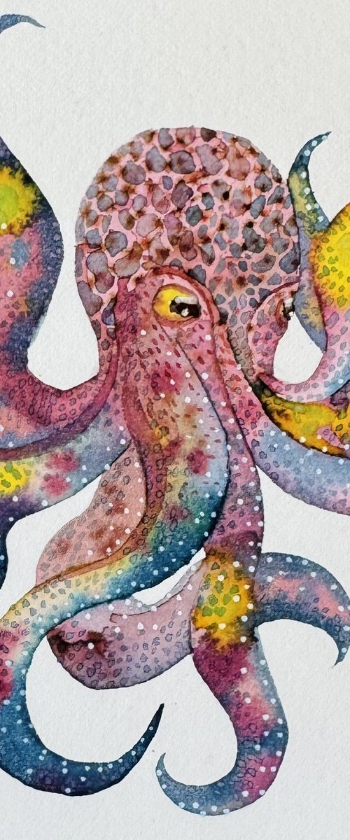 Abstract Watercolour Octopus by Kate Mac