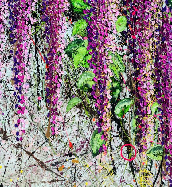 Wild Wisteria