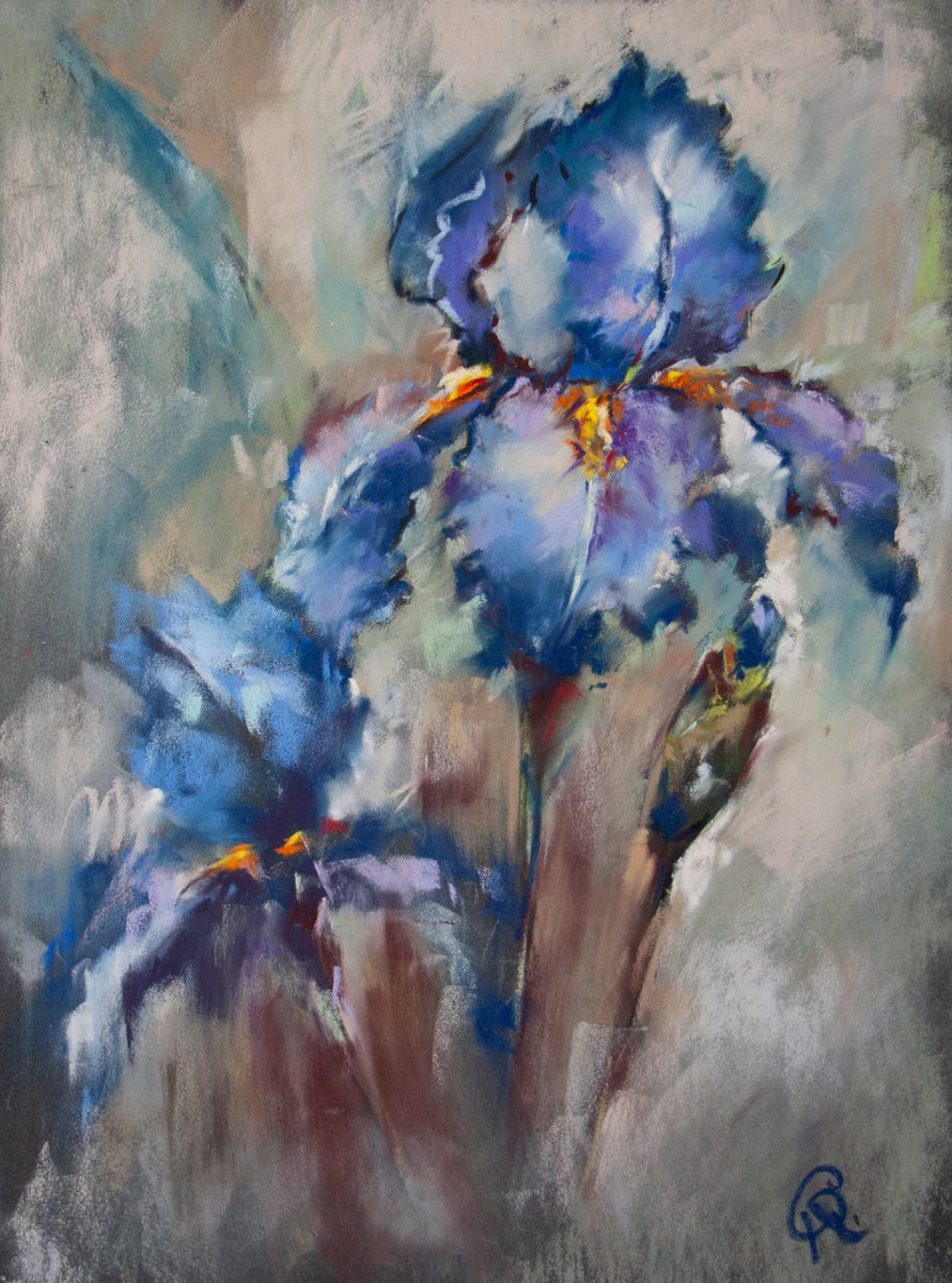 Irises by Rina Gerdt
