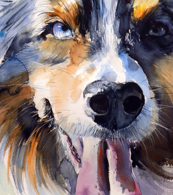 Dog portrait