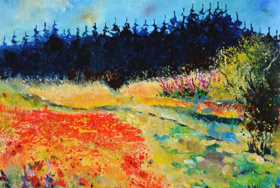 Summer landscape red poppies