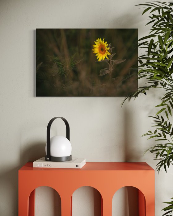 Golden Silence V – Solitary Light