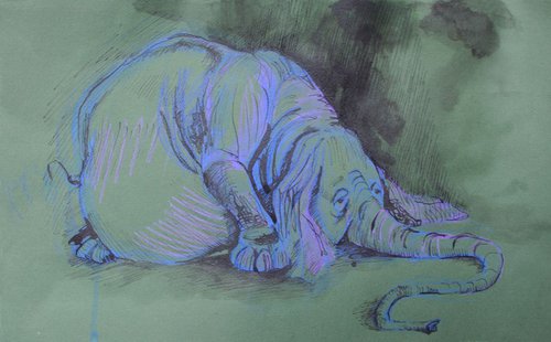 "Elephant" by Evgeniq Ivanova