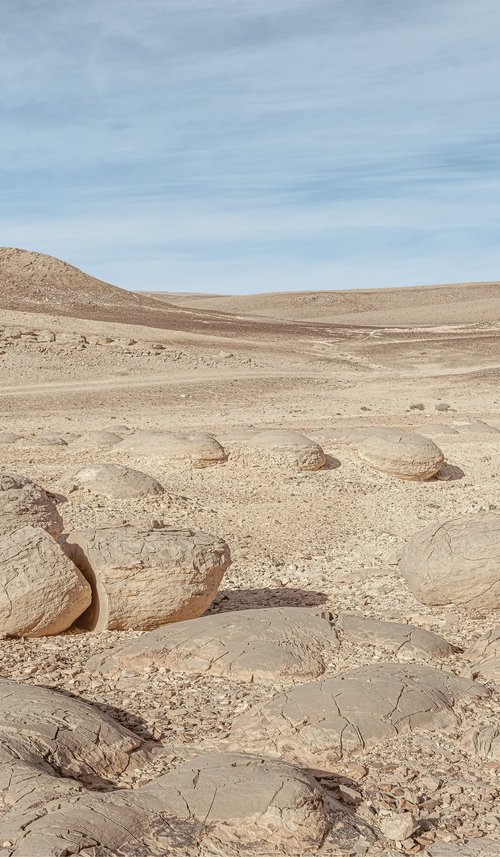 Bulbusim in the Negev Desert by Lidiya Dmitrieva
