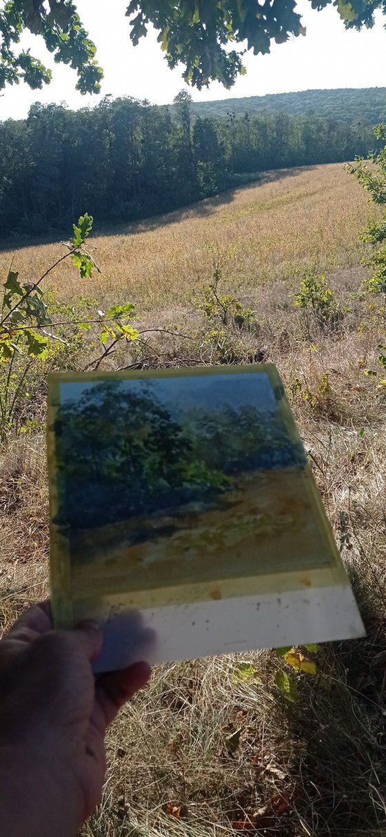Somewhere near a forest