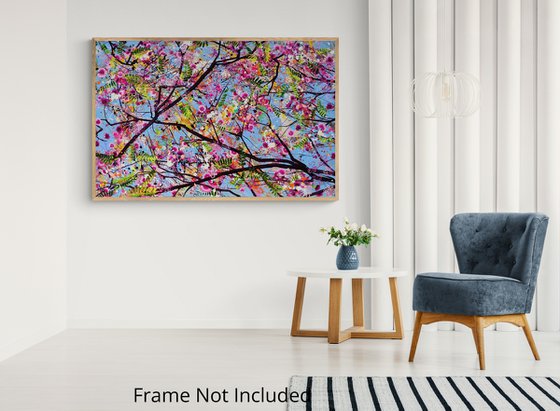 Pink Jacaranda