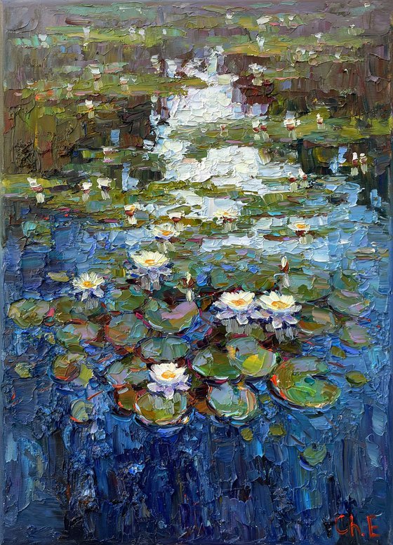 river with water lilies