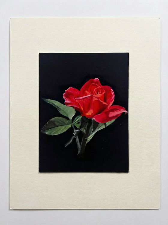 Crimson Study: Red Rose Oil on Gesso Board