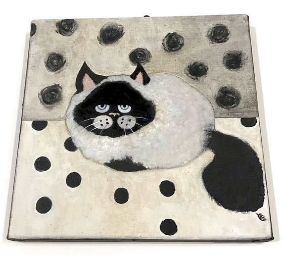 Siamese cat with polka dots