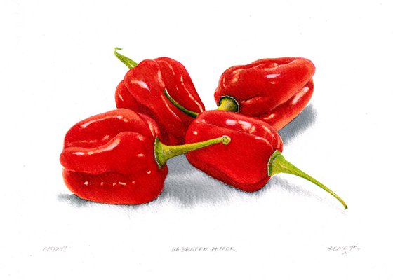Habanero pepper