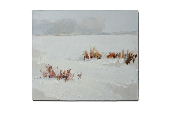 dry grass on a lake with a snow