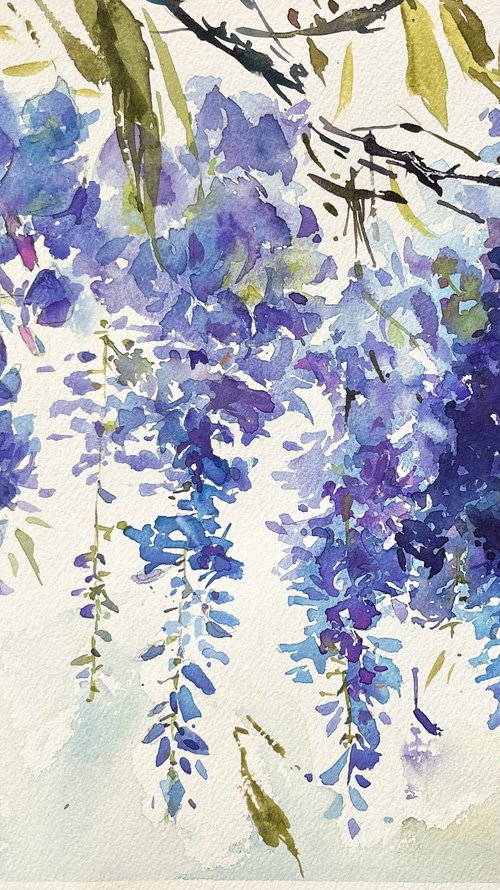 Wisteria blues by Larissa Rogacheva
