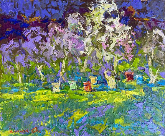 Spring Garden