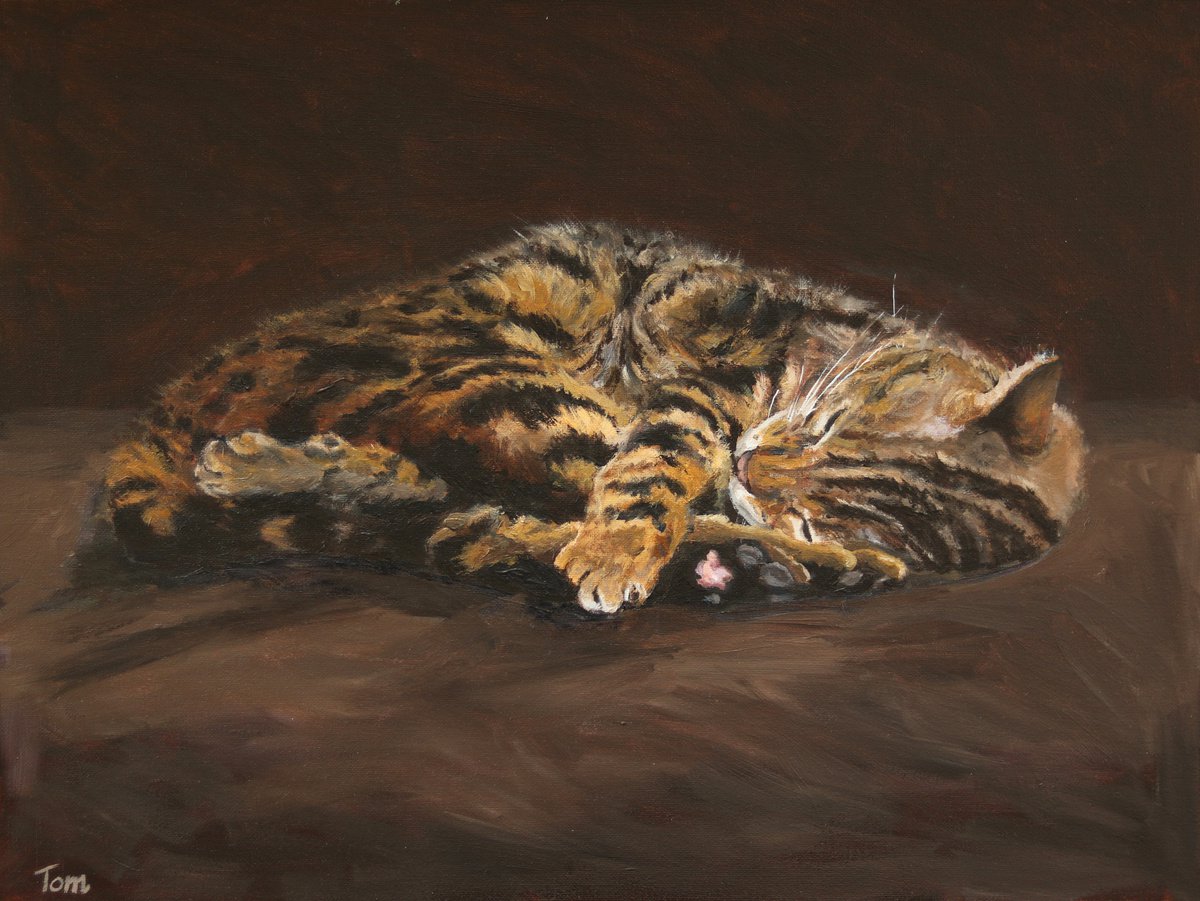 Sleeping Cat by Tom Clay