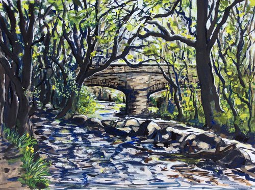 Steps Bridge in Spring by Lucy Smerdon