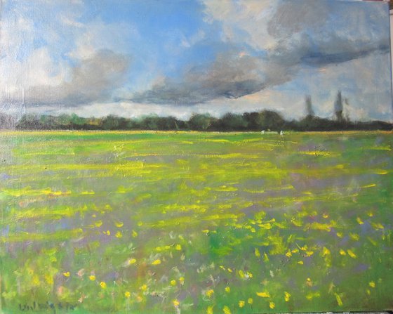 Buttercup Meadow