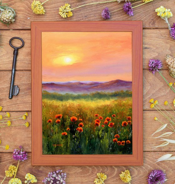 'Sunset poppies'