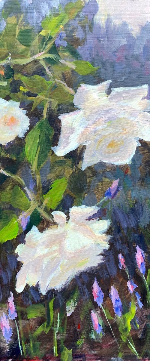 White roses and lavender by Shelly Du