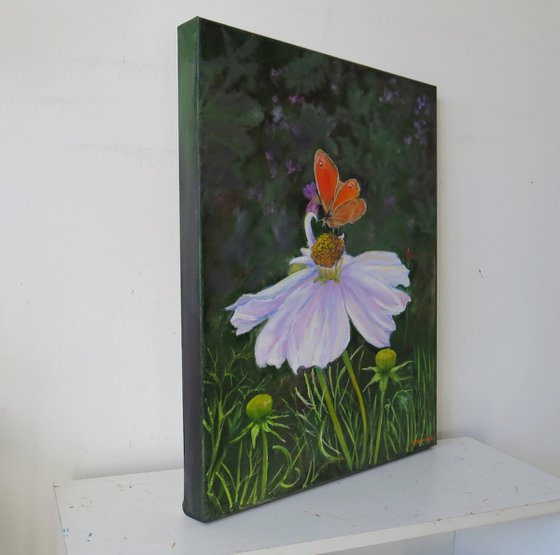 Cosmos and Butterfly
