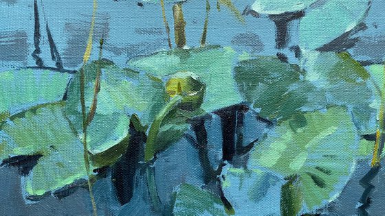 Water lily original  oil painting