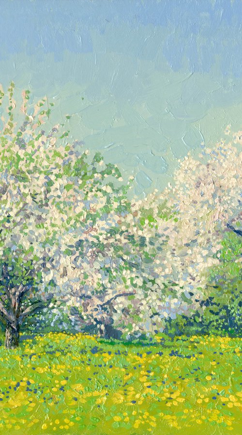 May. Apple trees in bloom by Simon Kozhin