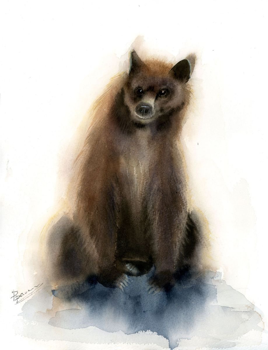 Brown Bear by Olga Shefranov (Tchefranova)