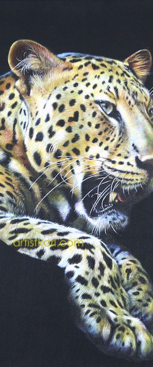 Leopard Night Watch by Karl Hamilton-Cox