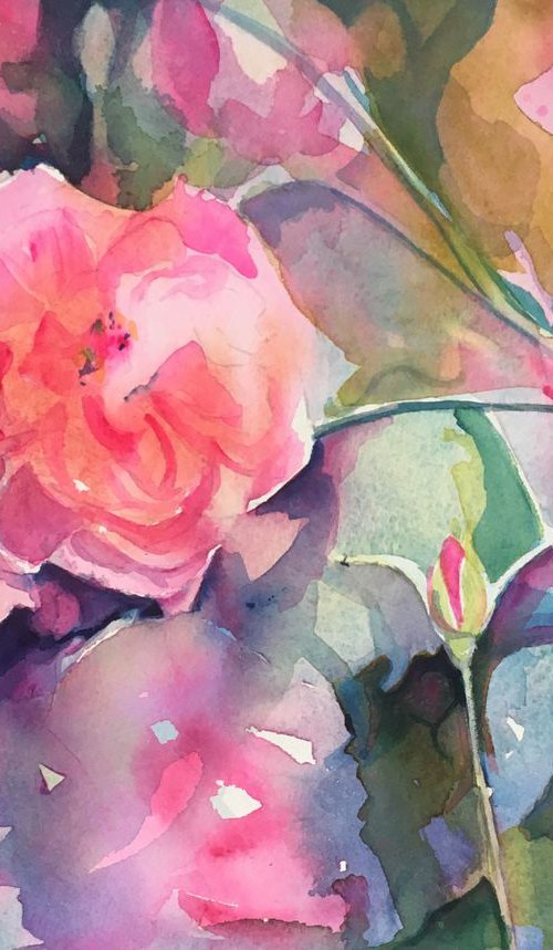 In the Pink by Sarah Stowe