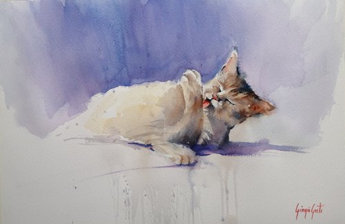 lying cat 7 by Giorgio Gosti