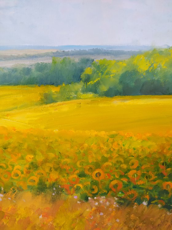 Sunflowers field