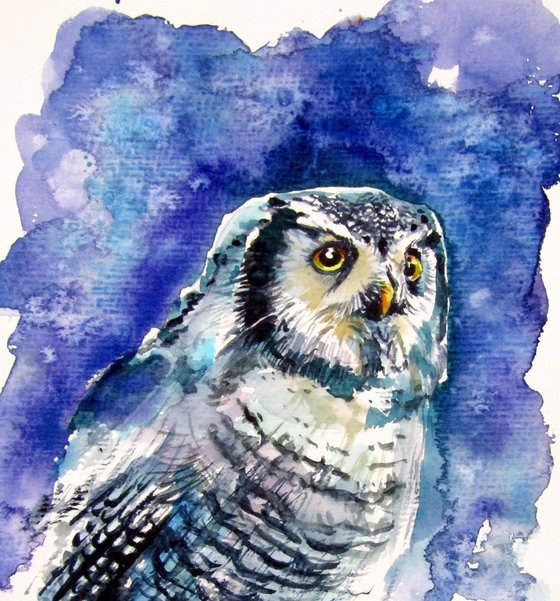 Owl collection