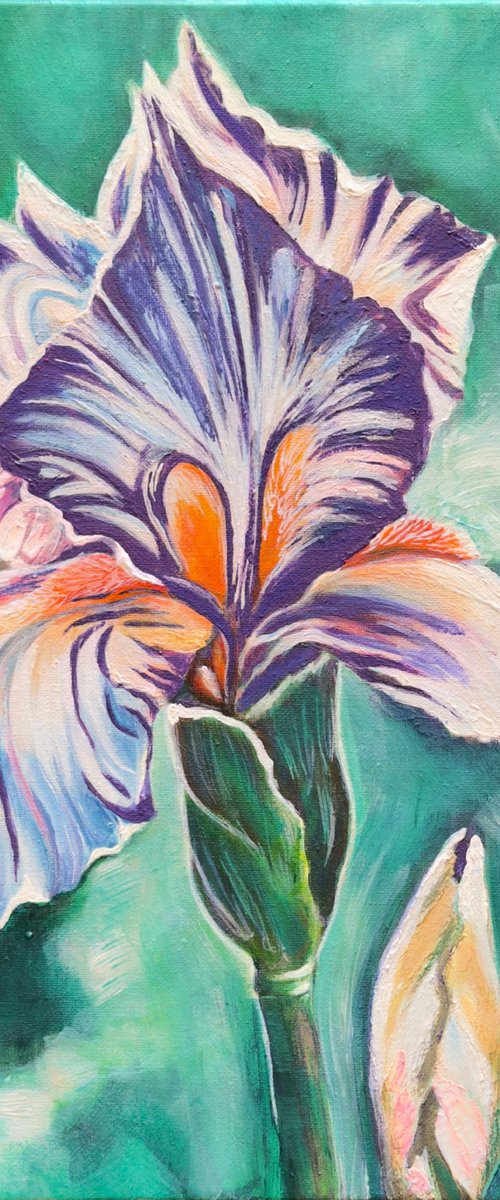 Purple Iris – Awakening in Turquoise by Elena Bogatova