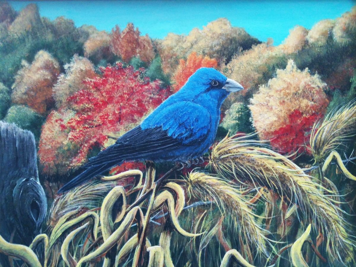 Photorealistic Animal Acrylic Painting By Donna Daniels, 20 X 16, Indigo Bunting In Autumn, Original Artwork