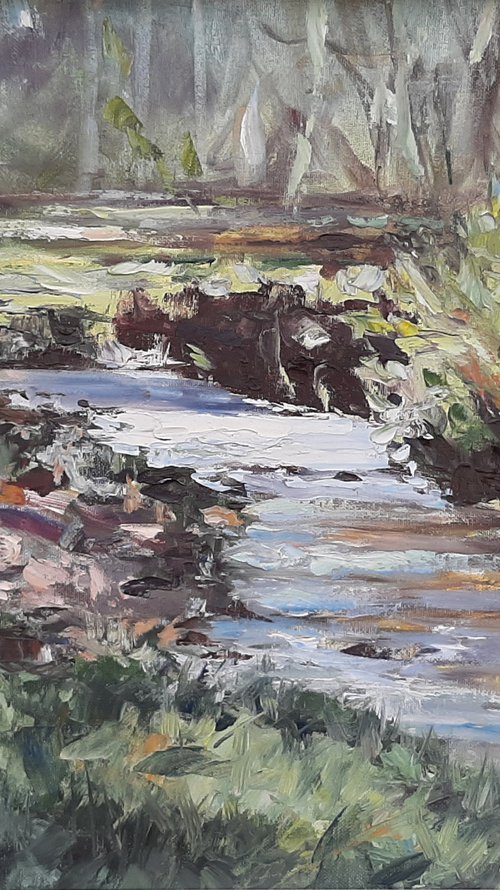 Vergelegen River by Tamara Vieira