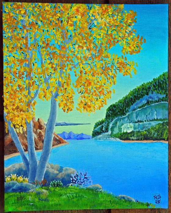 Widdershins Bay