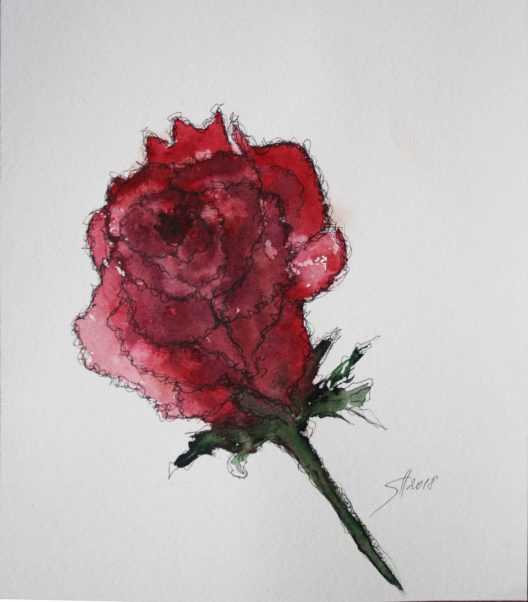 Botanical Watercolour By Salana Art / Svetlana Samovarova, 9 X 10", Rose Fantazi, Original Artwork