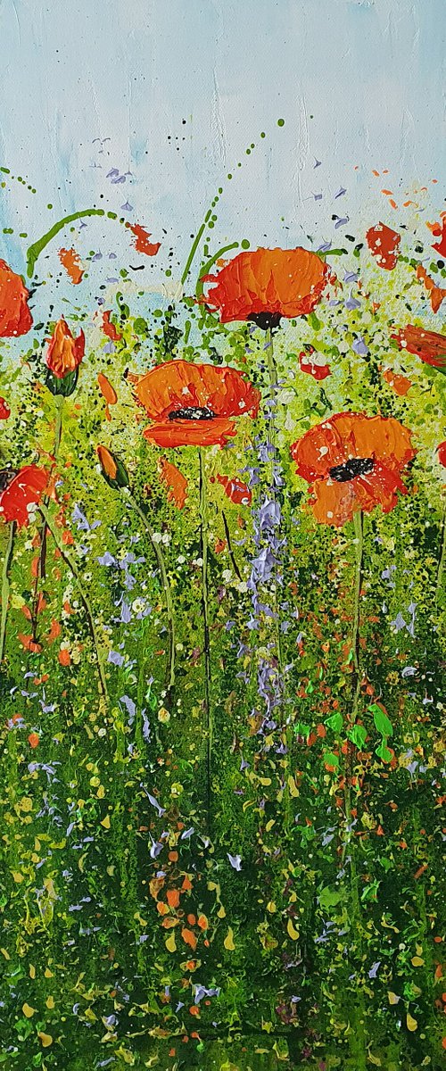 THE POPPY FIELD by Cinzia Mancini