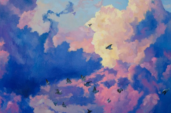 Gulls